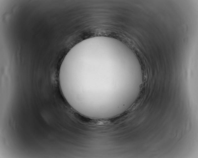 X0000099480663200805090834
