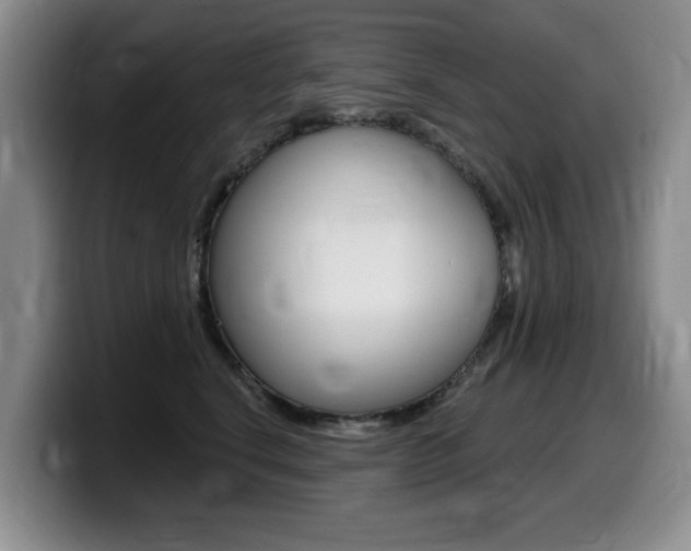 X0000099480664200805090834