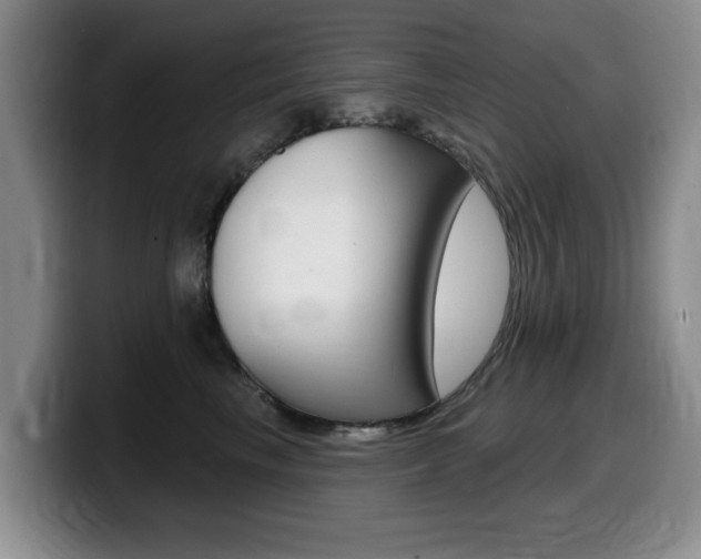 X0000099480665200805090834