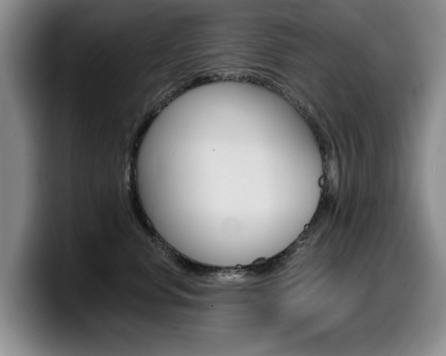 X0000099480668200805090834