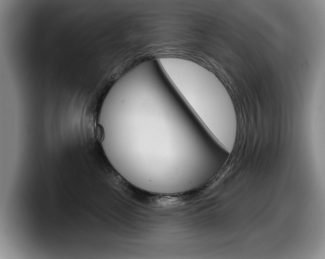 X0000099480669200805090834