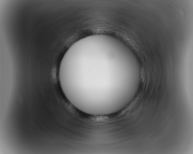 X0000099480670200805090834