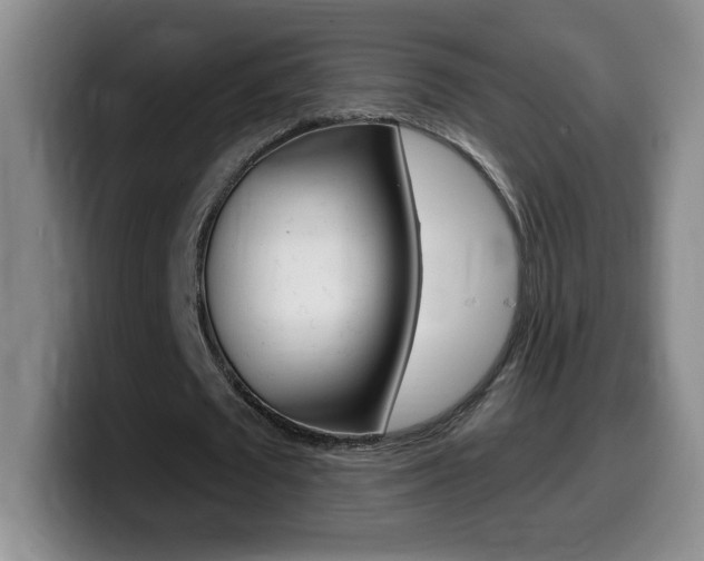 X0000099480673200805090834