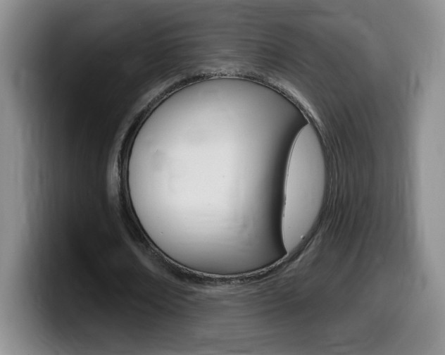 X0000099480674200805090834