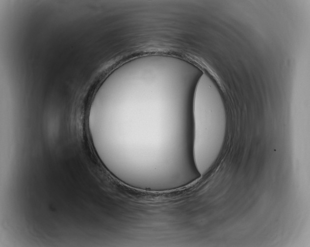 X0000099480675200805090834