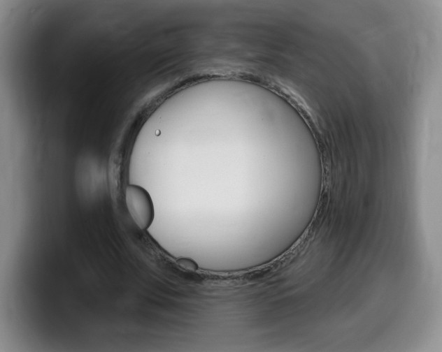 X0000099480679200805090834