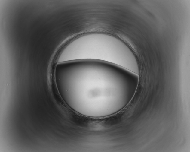 X0000099480680200805090834