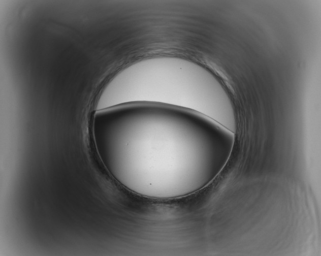 X0000099480681200805090834