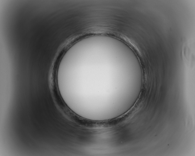 X0000099480682200805090834