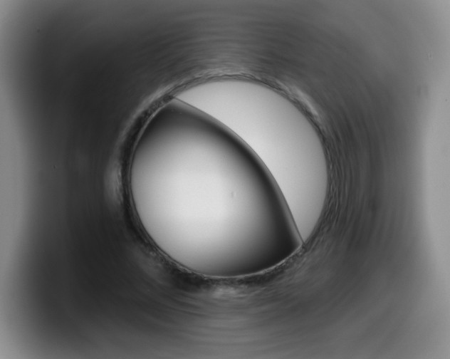 X0000099480684200805090834