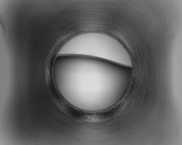 X0000099480688200805090834