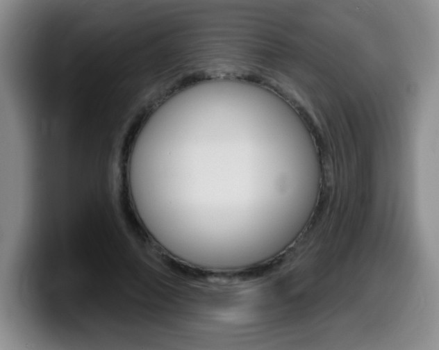 X0000099480690200805090833