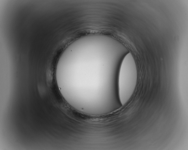 X0000099480691200805090833