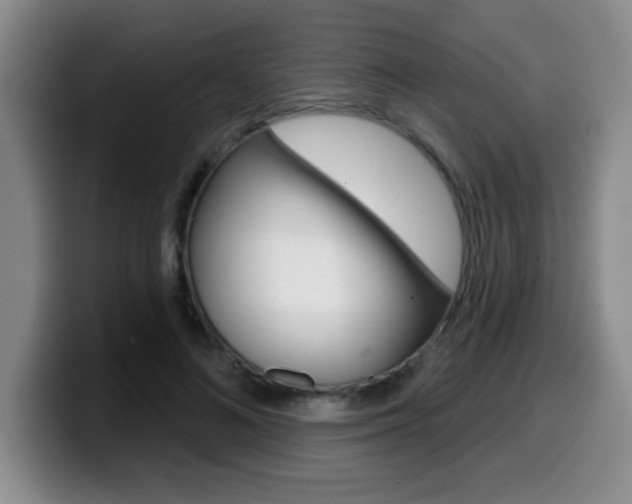 X0000099480692200805090833