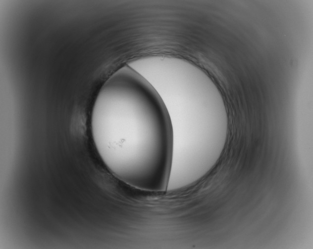 X0000099480693200805090833
