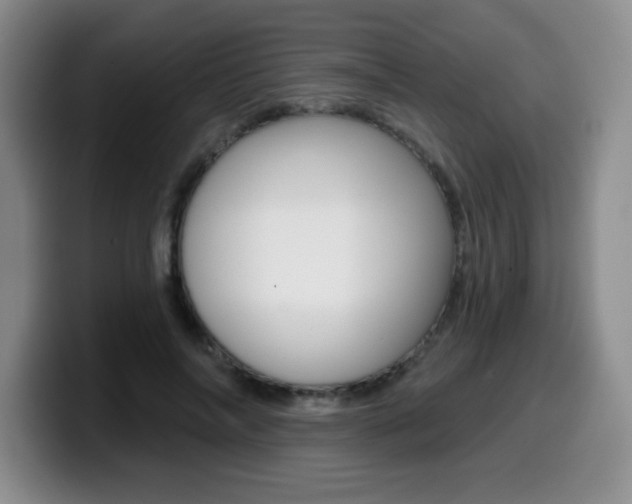 X0000099480694200805090833