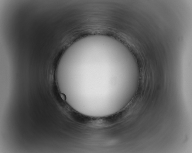 X0000099480695200805090833