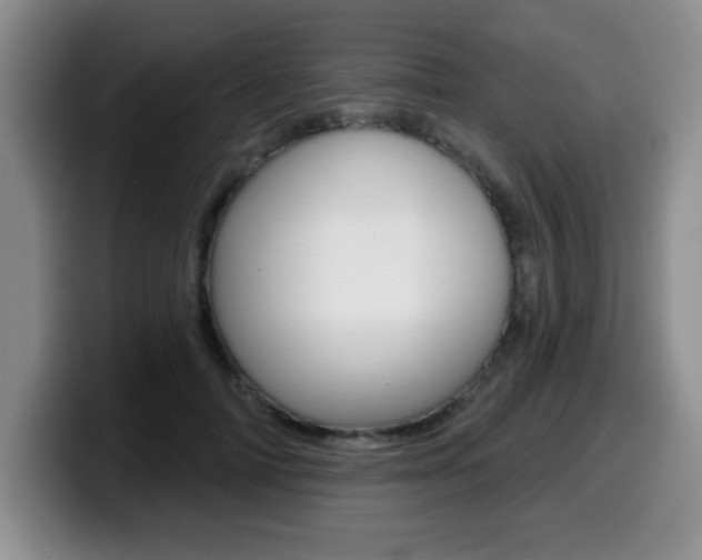 X0000099480698200805090833