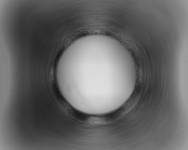 X0000099480699200805090833
