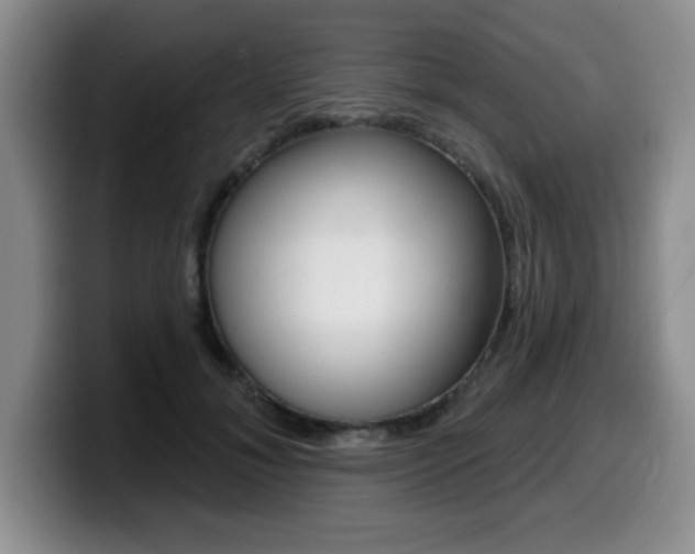 X0000099480700200805090833