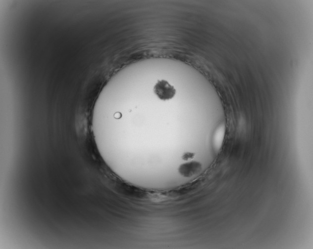 X0000099480703200805090833