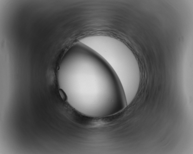 X0000099480704200805090833