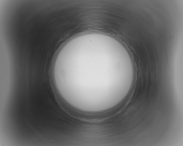 X0000099480705200805090833