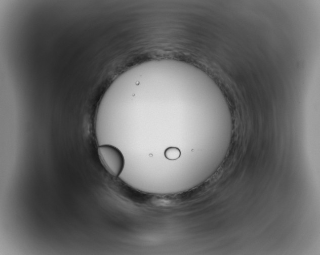 X0000099480706200805090833