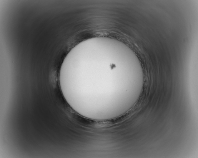 X0000099480707200805090833