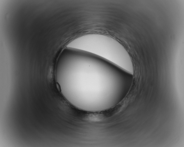 X0000099480708200805090833