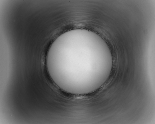 X0000099480710200805090833