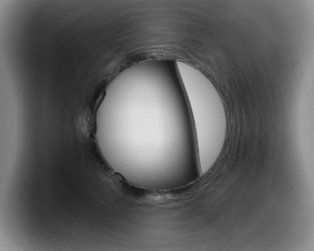 X0000099480712200805090833
