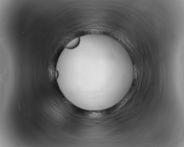 X0000099480718200805090833