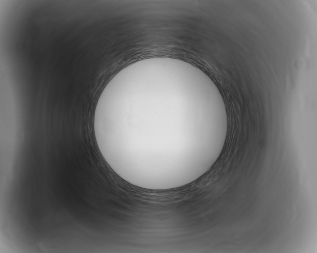 X0000099480720200805090833