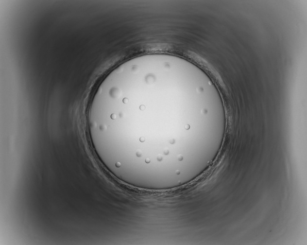 X0000099480721200805090832