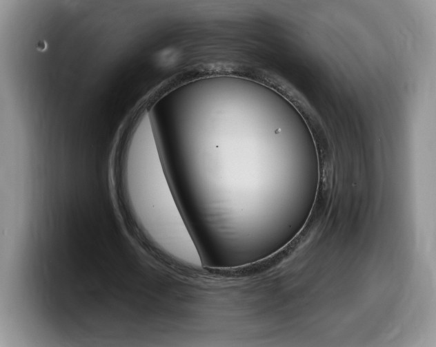 X0000099480722200805090832