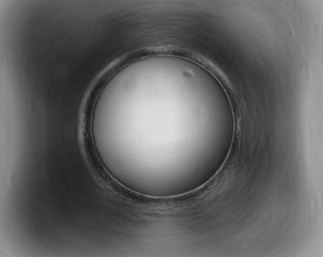 X0000099480724200805090833