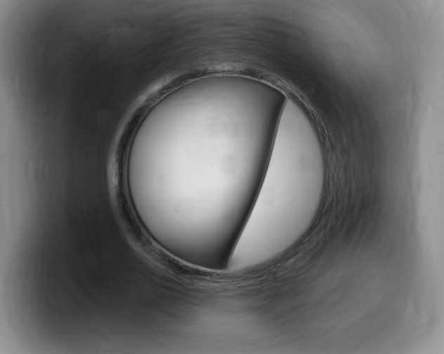 X0000099480726200805090833