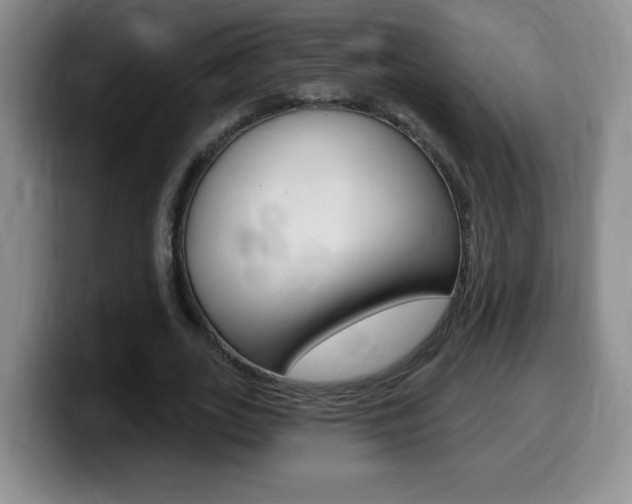 X0000099480727200805090833