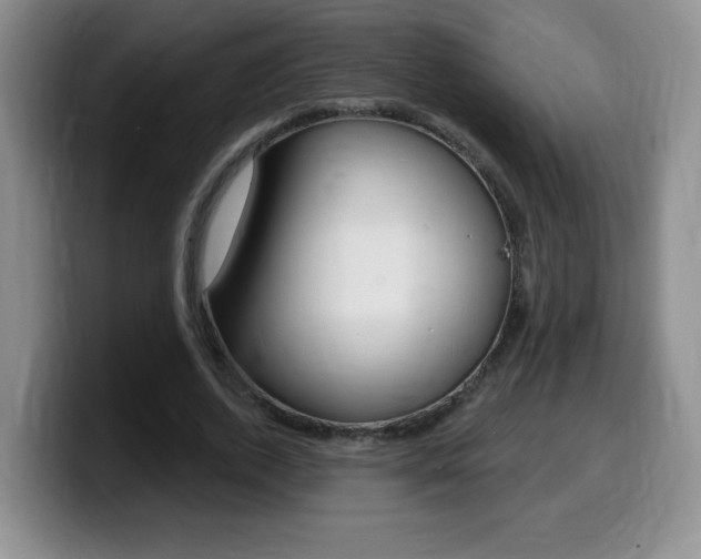 X0000099480728200805090833