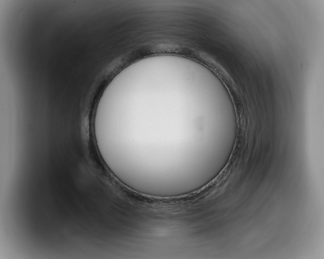X0000099480729200805090833