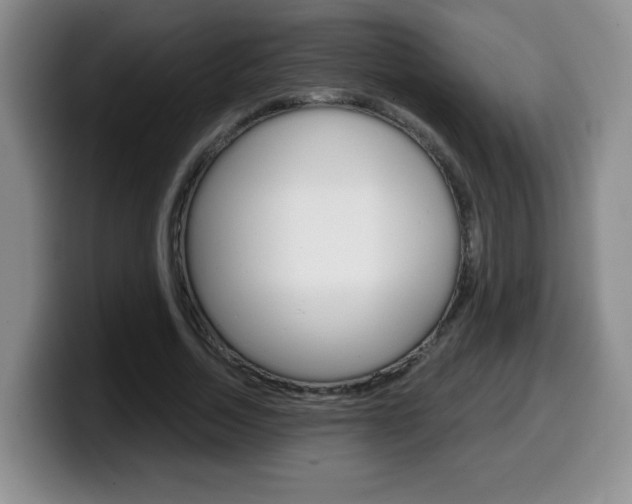 X0000099480730200805090833