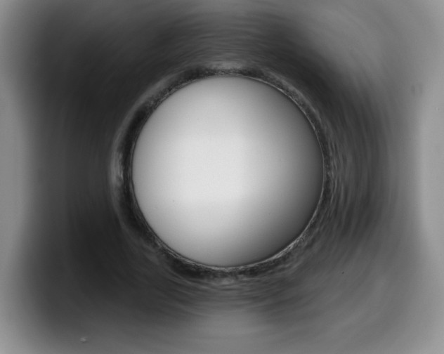 X0000099480731200805090833