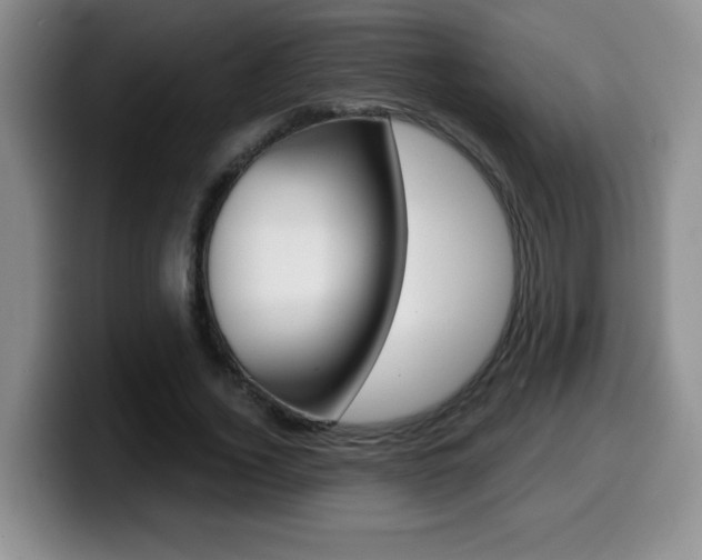 X0000099480732200805090833