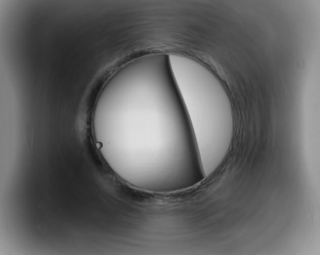 X0000099480736200805090833