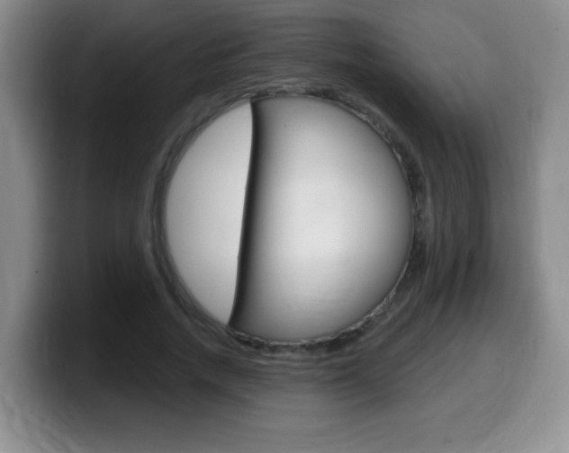 X0000099480738200805090833
