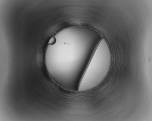 X0000099480739200805090833