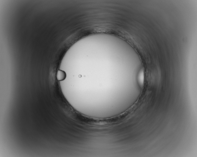 X0000099480741200805090833