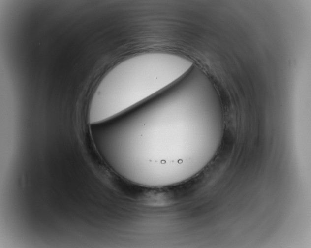 X0000099480742200805090833