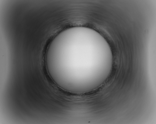 X0000099480743200805090833